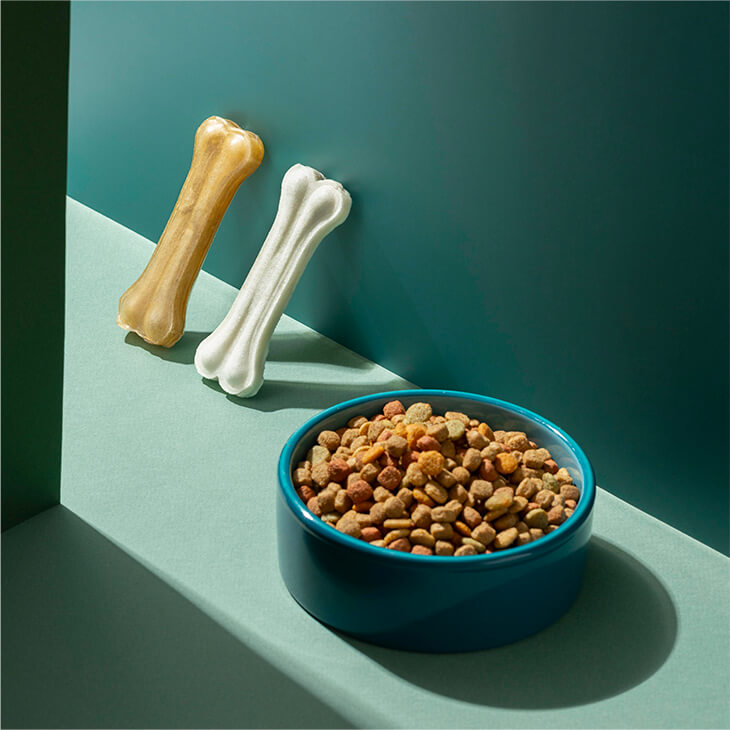 Dog Food